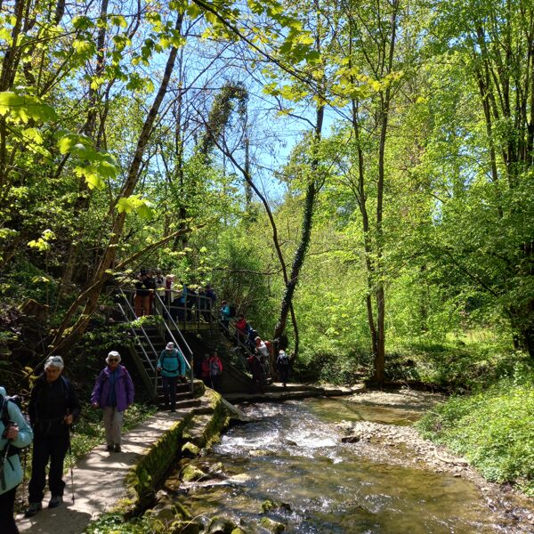 Sentier de la Truite 25.04