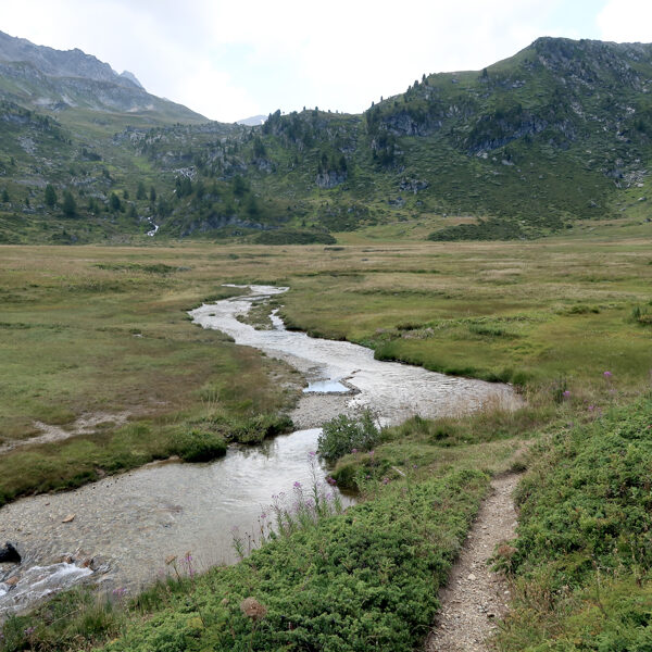 Crêt du Midi 29.08.24