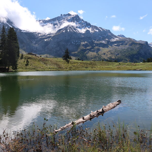 Col du Pillon 19.09