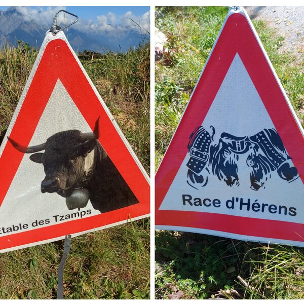 Haute-Nendaz 09.10.2025