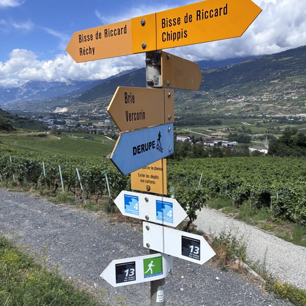 Rechy - Bisse de Riccard 24.06
