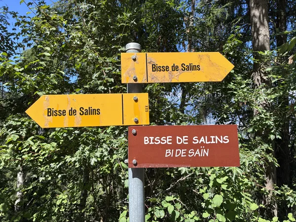 Beuson-Bisse de Salins 02.07