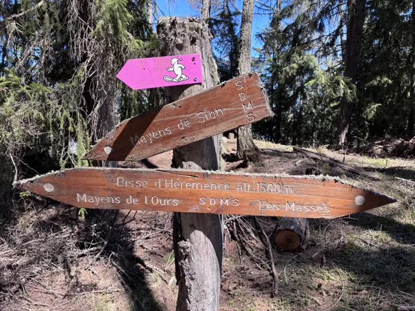Prolin-Anc Bisse d'Hérémence 23.04